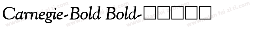 Carnegie-Bold Bold字体转换